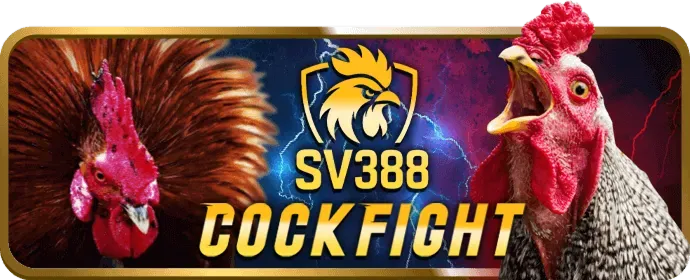 Hỗ trợ khách hàng 8vnd win